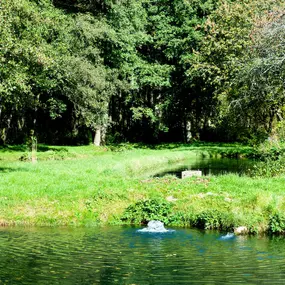 Bild von Fischerei Erlengrund Rau