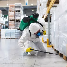 Schädlingsbekämpfer Kohlhaas & Honecker