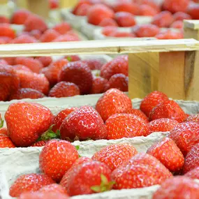 Foodservice Henning Broscheit ist ihr Großhandels Frische-Dienstleister für Gemüse, Obst und Exotische Früchte im Herzen von NRW!