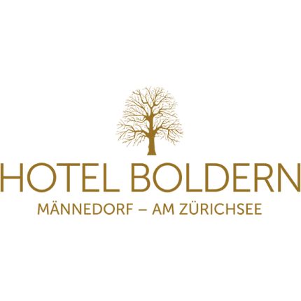 Logo de Hotel Boldern AG