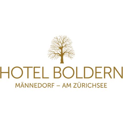 Logotipo de Hotel Boldern AG