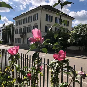 Bild von ParkSideClinic l Dr. Frank Pleus