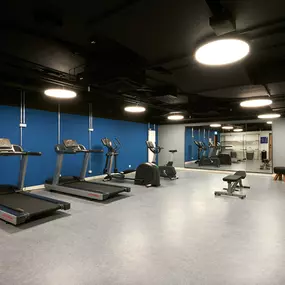 Bild von Holiday Inn Express & Suites Basel - Allschwil by IHG