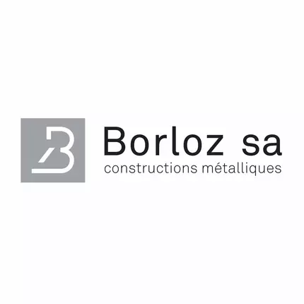 Logotyp från Borloz SA Constructions Métalliques