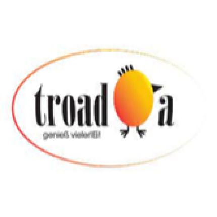 Logótipo de trOadOa GmbH / Edhofer Johannes