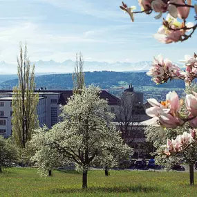 Bild von Centre hospitalier Bienne