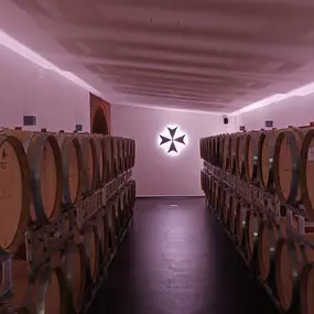 Bild von CANTINA IL CAVALIERE SA