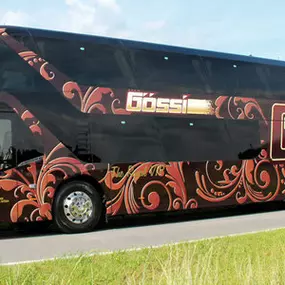 Bild von Gössi Carreisen AG