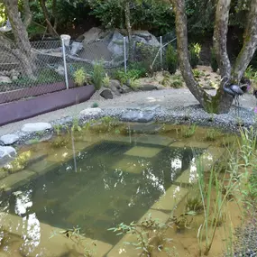 Bild von Grün & Blau Gärten und Teiche GmbH