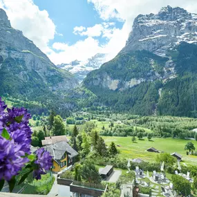 Bild von Hotel Spinne