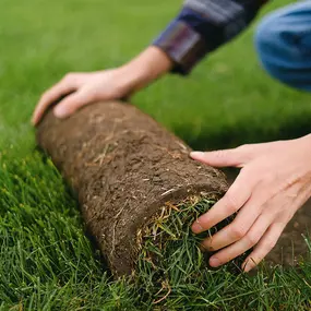 Bild von Garten- & Landschaftsgestaltung - Sven Wessig