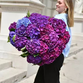 Bild von Fleuriot Fleurs, Fleuriste la Corraterie