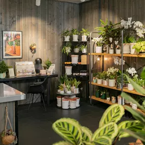 Bild von Fleuriot Fleurs, Fleuriste Gare O'Vives