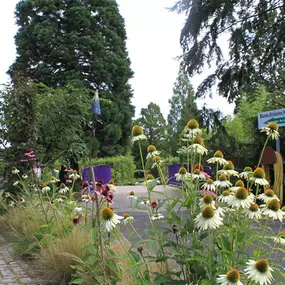 Grasland Gärtnerei, Bergheim