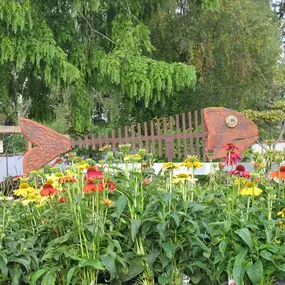 Grasland Gärtnerei, Bergheim, Stauden