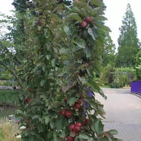 Grasland Gärtnerei, Bergheim