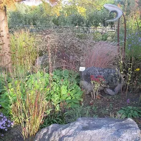 Grasland Gärtnerei, Bergheim, Stauden