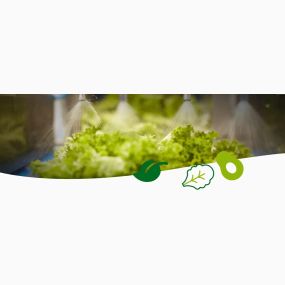 Manss Foodservice ist ihr starker Partner im Großhandel für Obst, Gemüse, Kräuter, Salate, Bioprodukte, Kartoffelprodukte, exotische Früchte, Feinkost, Convenience, Molkereiprodukte, Gastro-Spezial und Diverse in Hamm.