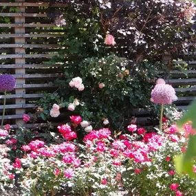 FLORA e.U. Inh Florian Rauchenschwandtner in Aschach an der Steyr