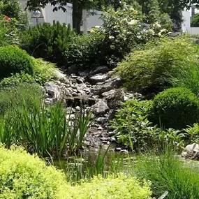 FLORA e.U. Inh Florian Rauchenschwandtner in Aschach an der Steyr