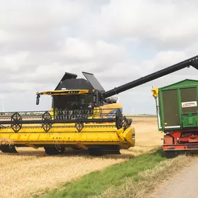 Bild von Wüstenberg KG Landmaschinen Service Stützpunkt
