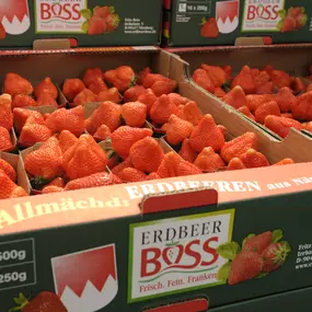Bild von Boss Fritz Frucht-Gemüse