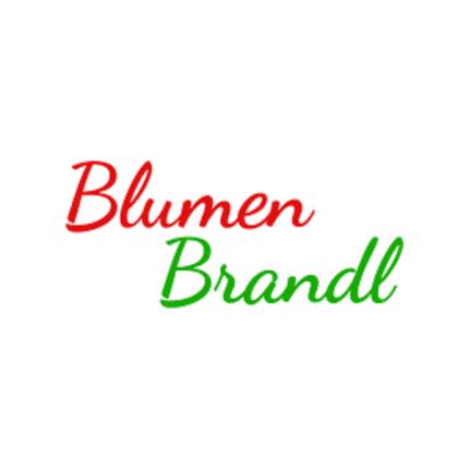 Logo von Blumen Brandl