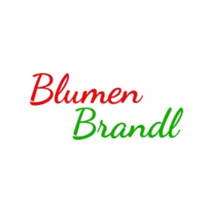 Logo da Blumen Brandl