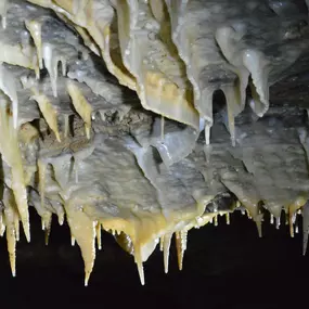 Bild von Eigenbetrieb Drachenhöhle Windmühle Syrau