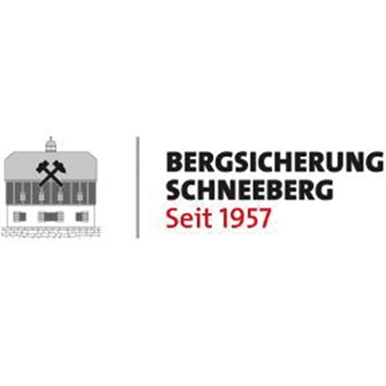 Logo od Bergsicherung Schneeberg GmbH & Co. KG