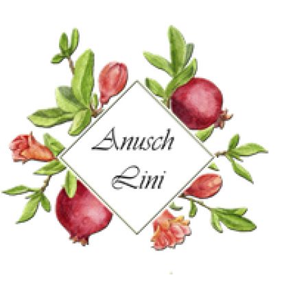 Logo van Anusch Lini Lauf
