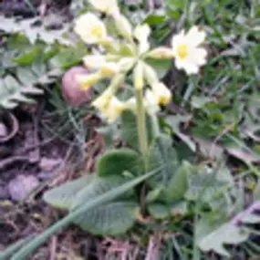 Bild von Apotheke Zum Auge Gottes Mag. G. Libowitzky KG