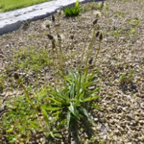 Bild von Apotheke Zum Auge Gottes Mag. G. Libowitzky KG