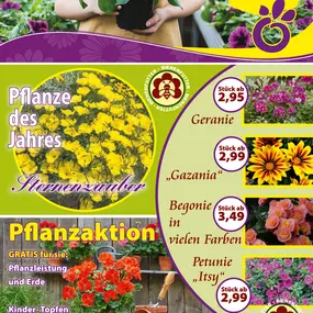 Bild von Schöne Blumen Floristik & Gartenbau