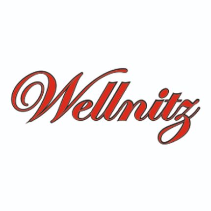 Logo de Wellnitz Augenoptik