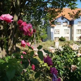 Bild von Evangelisches St. Marien-Hospital