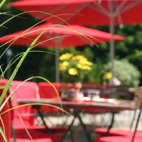 die sonnige Terrasse lädt zum guten Essen ein