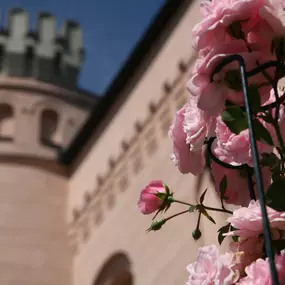 das wunderschöne Jagdschloss Granitz