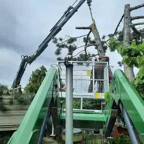 Landschaftspflege Perschy in 7161 Sankt Andrä am Zicksee