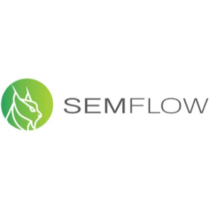 Logo da SEMFLOW GmbH | Werbeagentur in Nürnberg