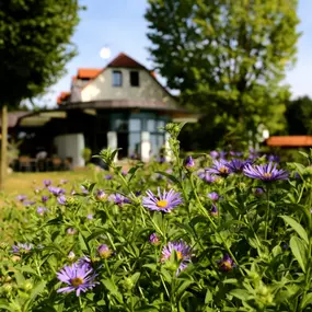 Bild von Erntekranzbaude