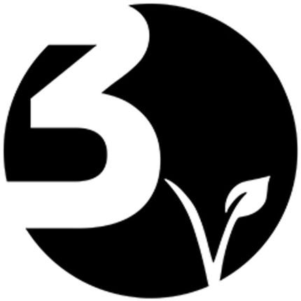 Logotyp från 3v for hair