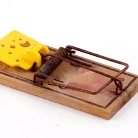 Bild von AXEL Schädlingsbekämpfung e. K.