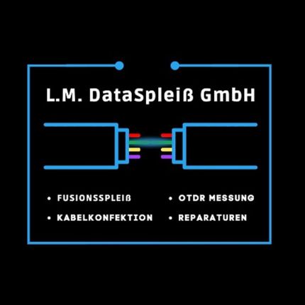 Logo od L.M. DataSpleiß GmbH Lukas Mensing