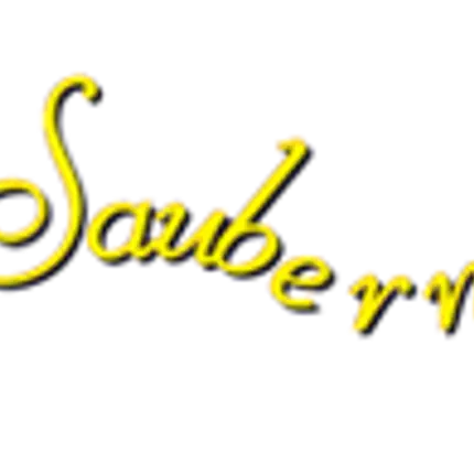 Logo fra Die Saubermacher in Regensburg