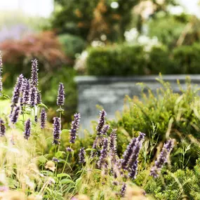 Bild von Garten und Bau Bernhardsgrütter AG