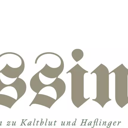 Logo fra Rossinger