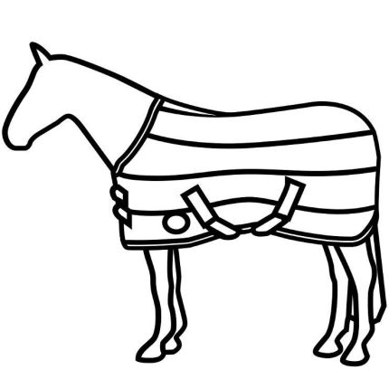 Logo von Dirt - Out Pferdedeckenwaschservice