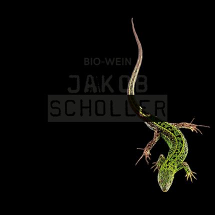 Logo de Biowein Jakob Scholler