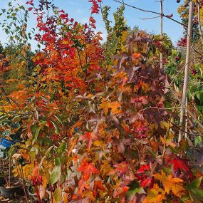 Bild von Garten Zeißlhof